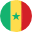  Senegal flag