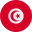  Tunisia flag